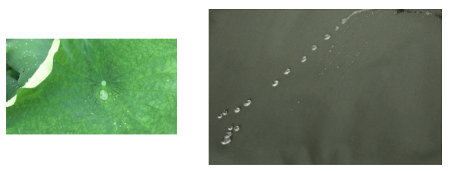 开云电竞医用纺织